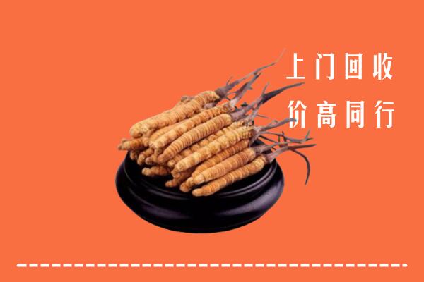 高价求购：清涧县回收散虫草