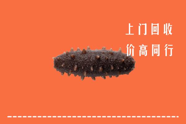 高价求购：清涧县回收海参