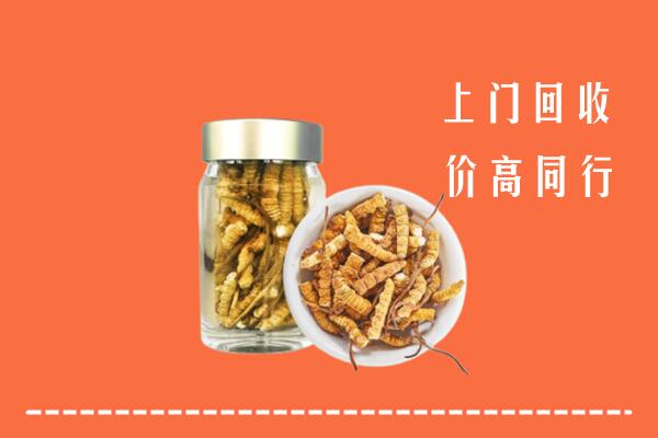 清涧县回收冬虫夏草